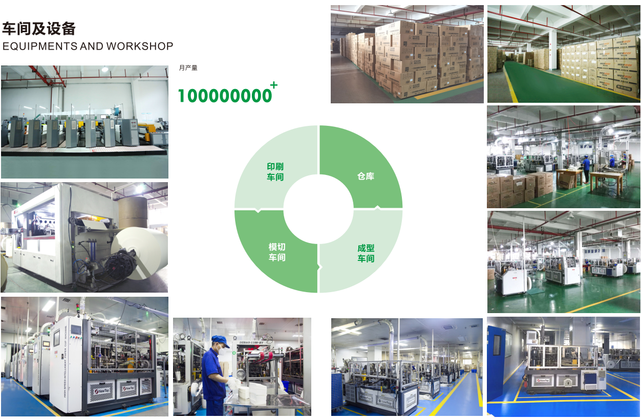 quality Single Wall Paper Cup factory