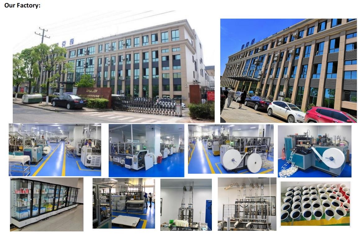 quality Single Wall Paper Cup factory