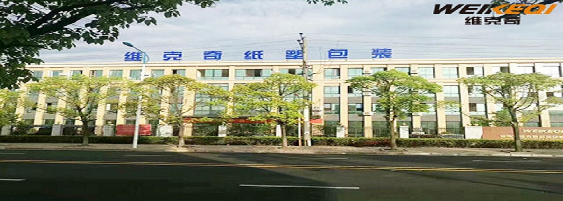quality Single Wall Paper Cup factory
