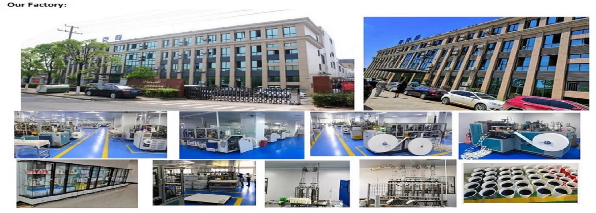 quality Single Wall Paper Cup factory